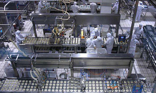 Food Machinery